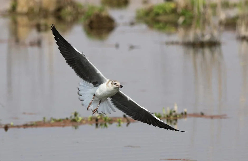 South Africa's Anti-Corruption Bureau Arrests Two Sub-Registrars in Bribe Probe — Economy Business