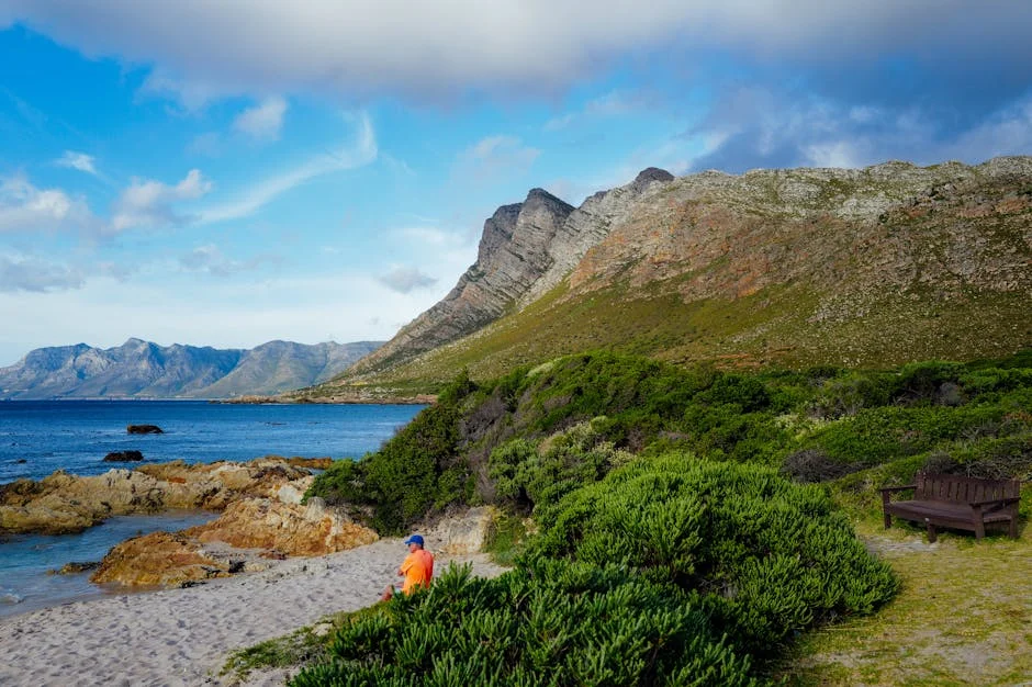 South Africa's Bench Dismisses ED Petitions Against Ministers — Economy Business