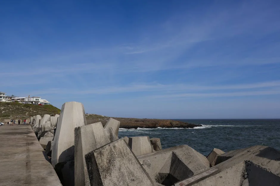 South Africa's Fundo faces cuts, threatening environmental support — Economy Business