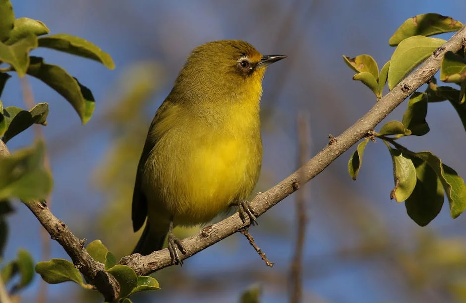 South Africa's Lotto Results Spark Betting Market Surge — Economy Business