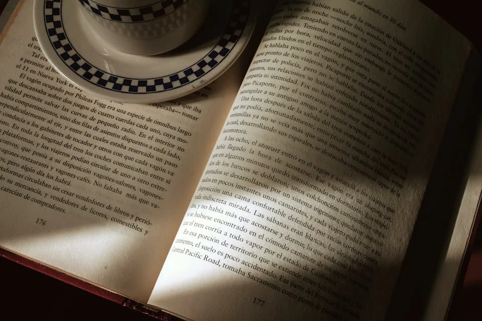 South Africa's Navy Unearths 500-Year-Old Shipwreck Off Cape Town — Economy Business