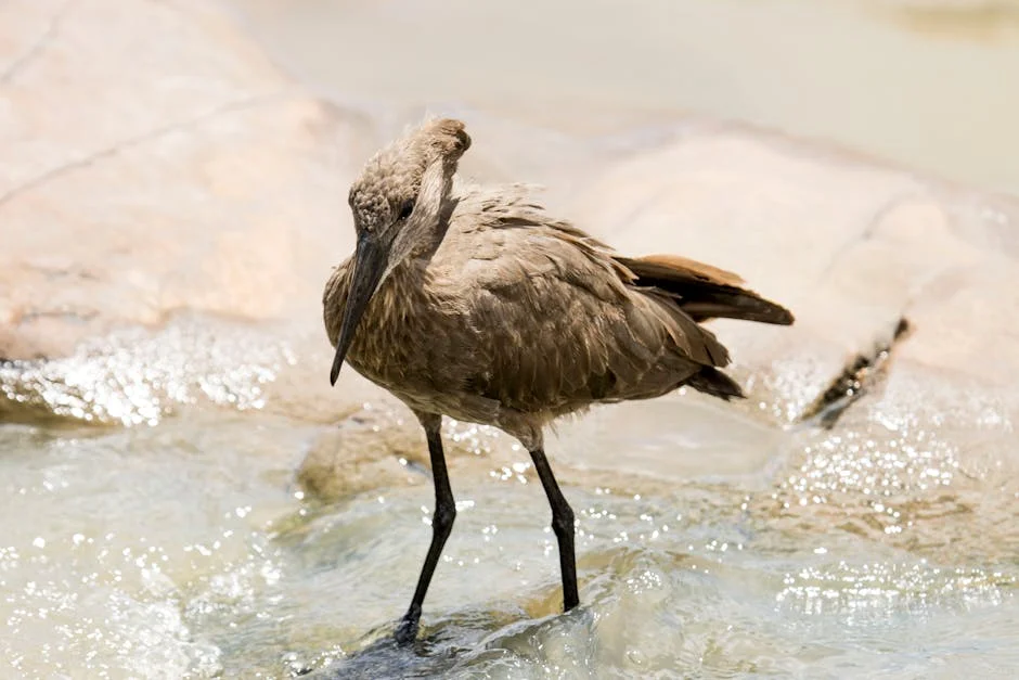 South Africa's Viral Matka Debate Sparks Health Concerns — Health Medicine