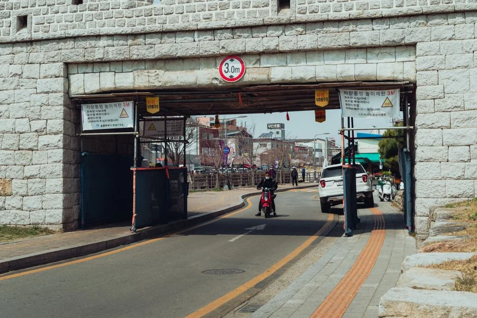 South Korea Fans Turn South Africa Stadium Into Home Fixture — Businesses Brace for Revenue Surge — Sports