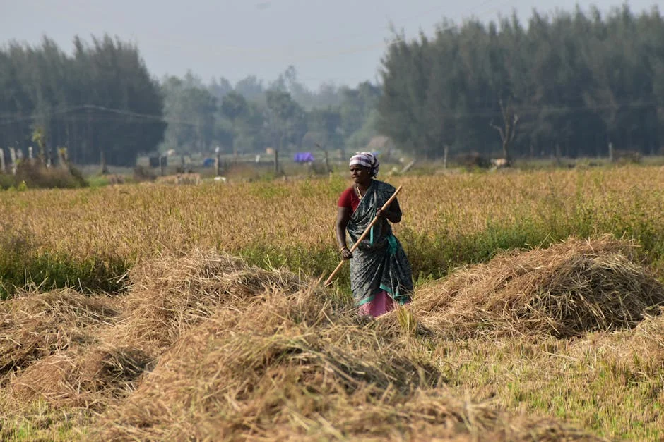 Stalin Urges Tamil Nadu to Vote — Economic Stakes Are High — Politics Governance