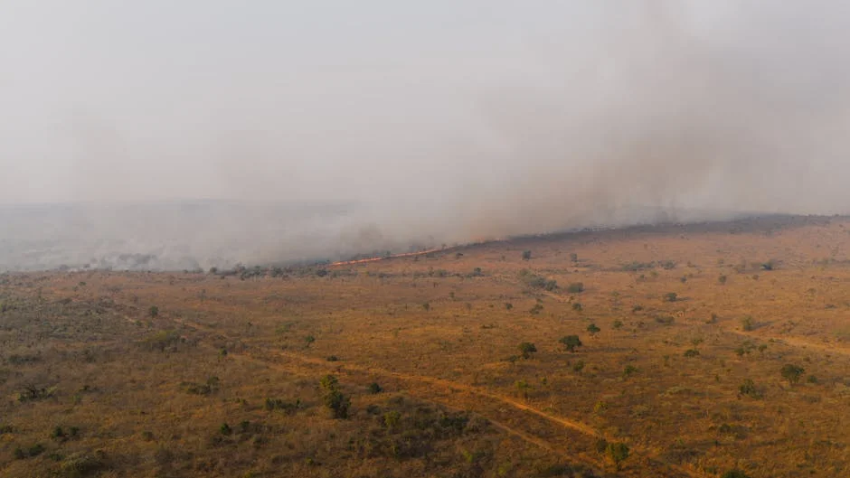 Stephen Hawking Warned Humanity's Survival Depends on Leaving Earth: What It Means for Africa