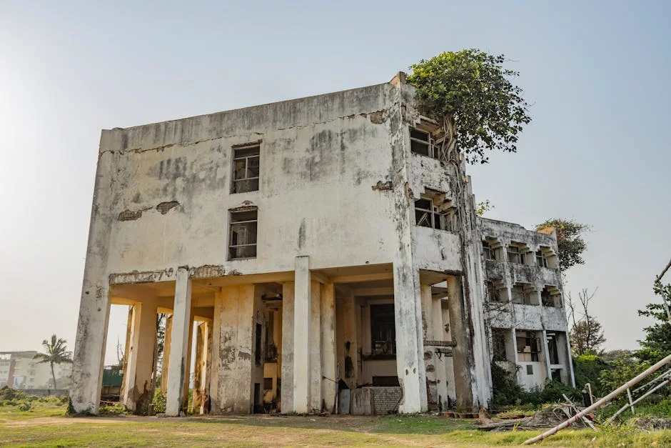 Strong Personalities Reshape Democracy as Kalli Purie Explains 'Personacracies'