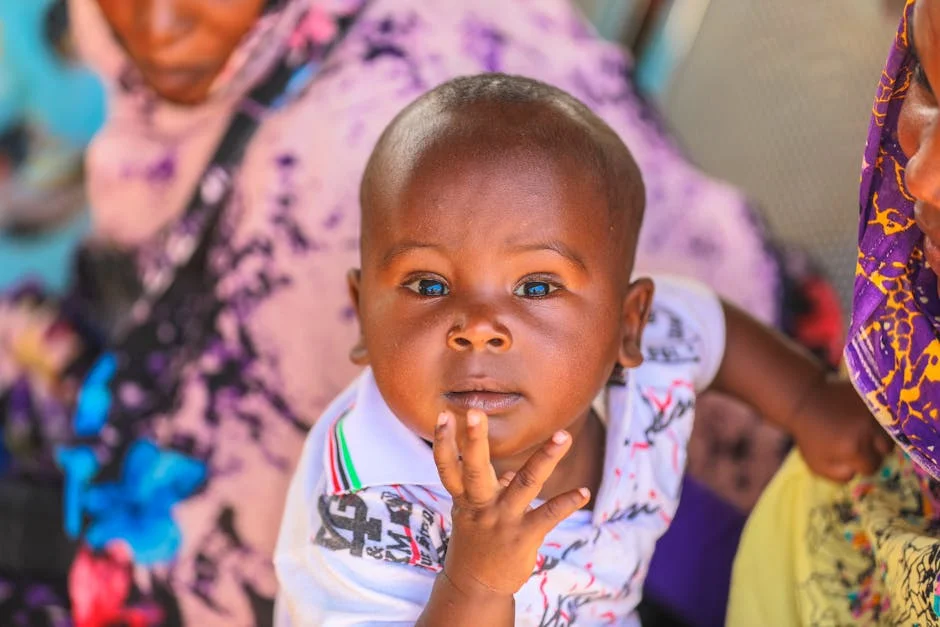 Sudan Conflict Drags On: What It Means for Regional Stability and Development Goals — Economy Business