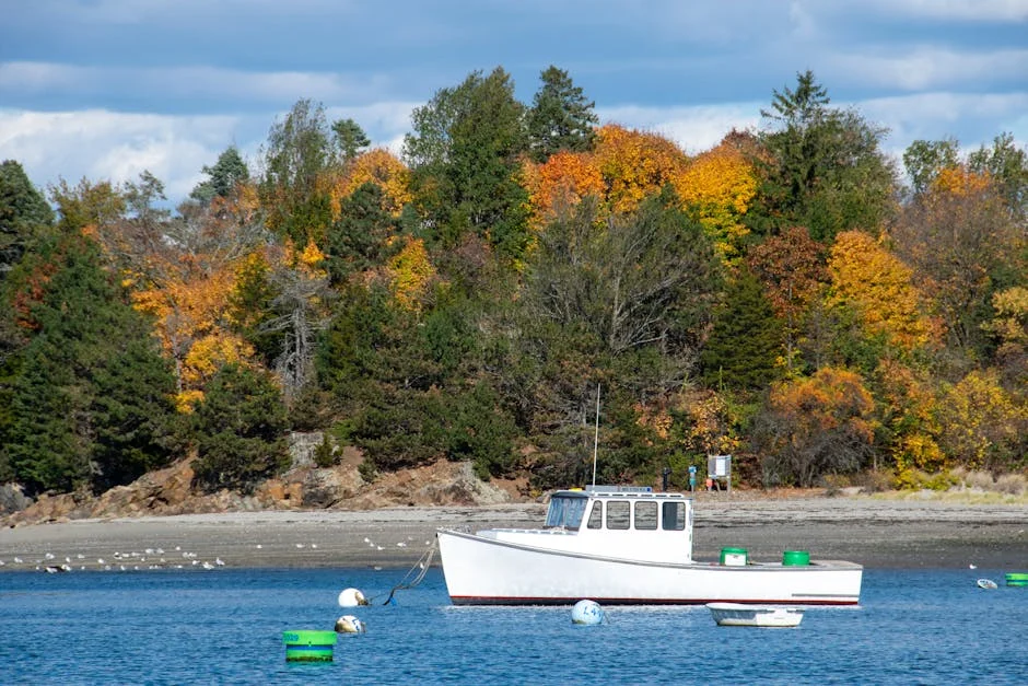 Suryakumar Jokes About England's Near Chase of 254 in Mumbai: What It Means for South Africa — Economy Business