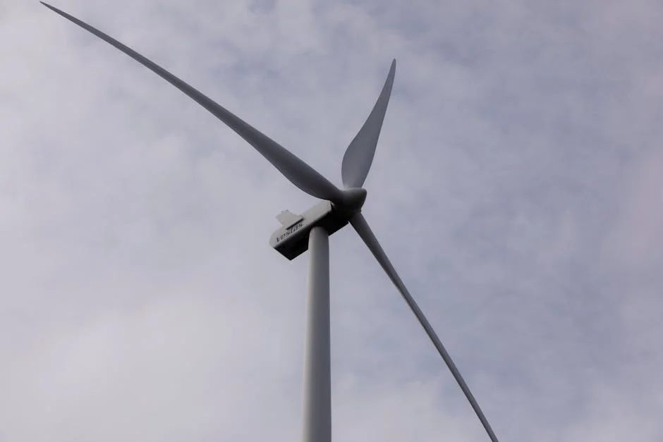 Suzlon Launches High-Capacity Turbines to Capitalise on Europe's Wind Boom — Environment Nature