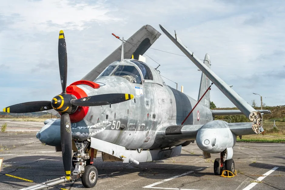 Sweden Jams Russian Drone Near French Carrier as Hybrid War Spreads — Politics Governance