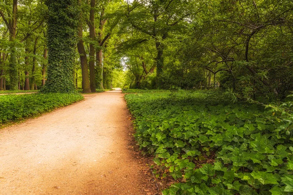 Tamil Nadu Halts Greenery Project in Tiruchuli Amid Development Fears — Politics Governance