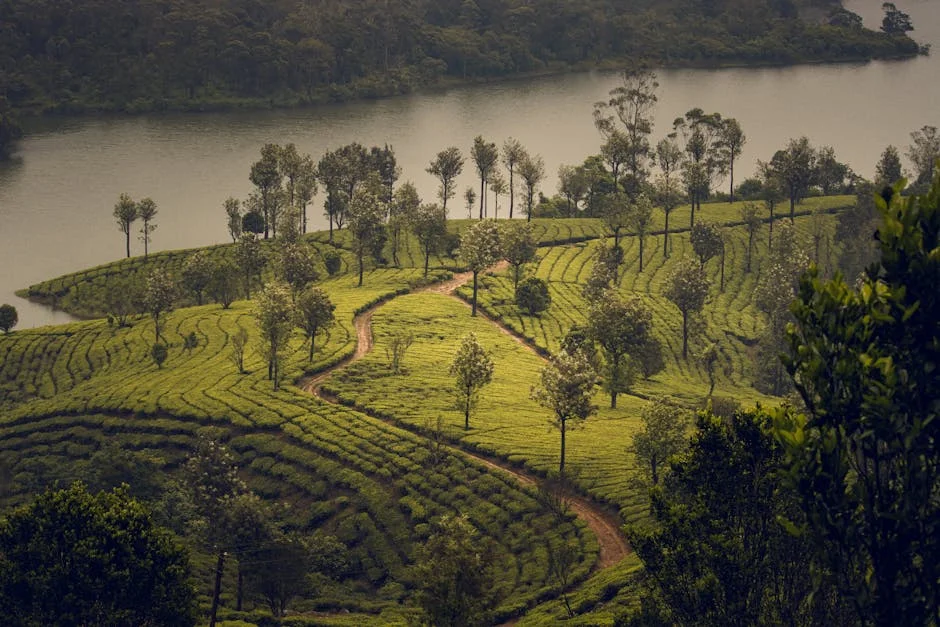 Tamil Nadu Launches Tourism Revamp in Valparai — Boost for Local Economy — Politics Governance