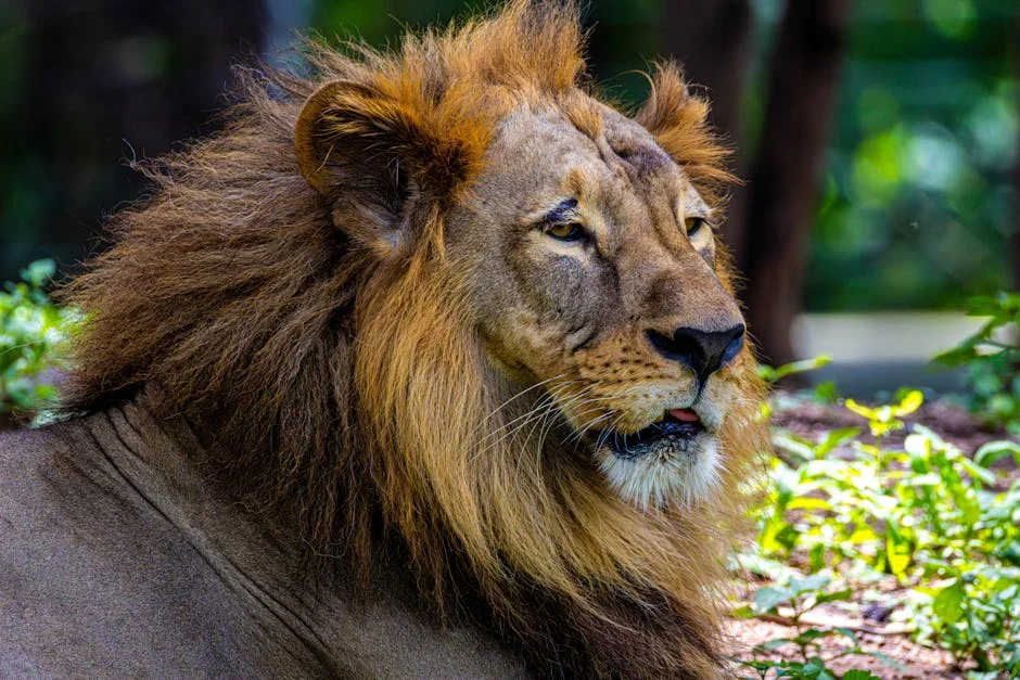 Telangana Transport Chief Prioritises Safety in New Operations Strategy: What This Means — Economy Business