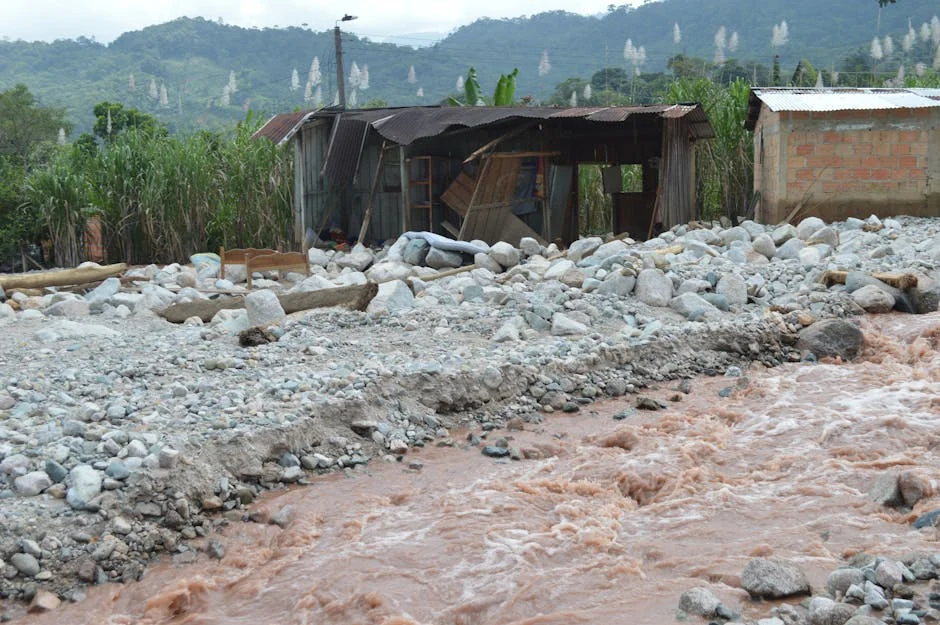 The New Humanitarian Exposes $20 Billion Aid Leakage in Africa