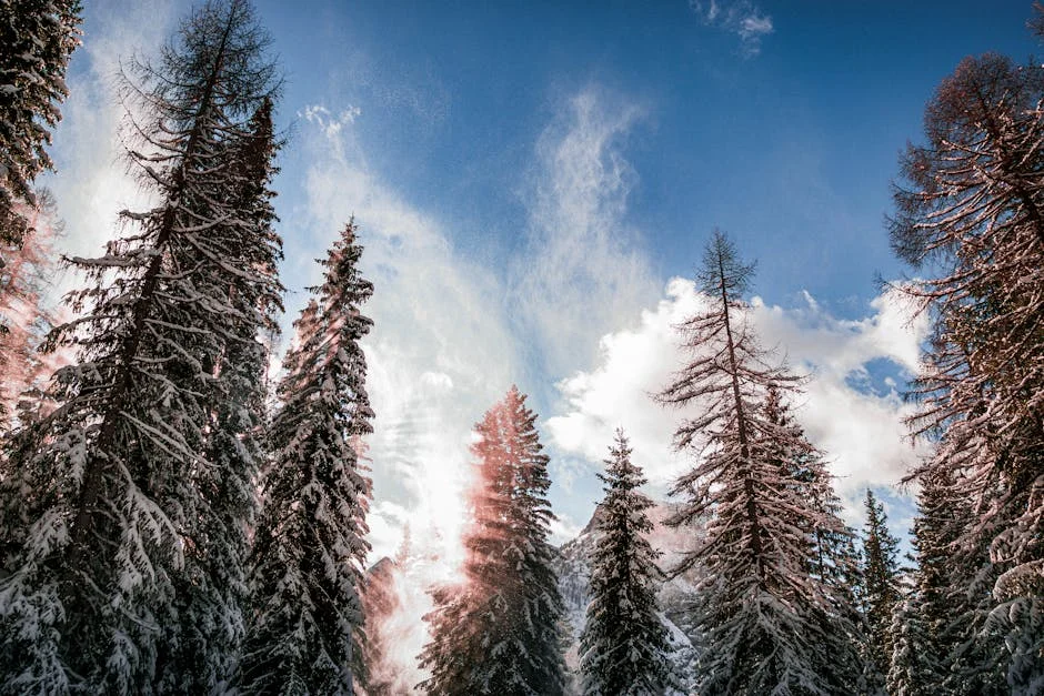 Timberwolves Edge Nuggets in 119-114 Thriller — Impact on NBA Betting Markets — Economy Business