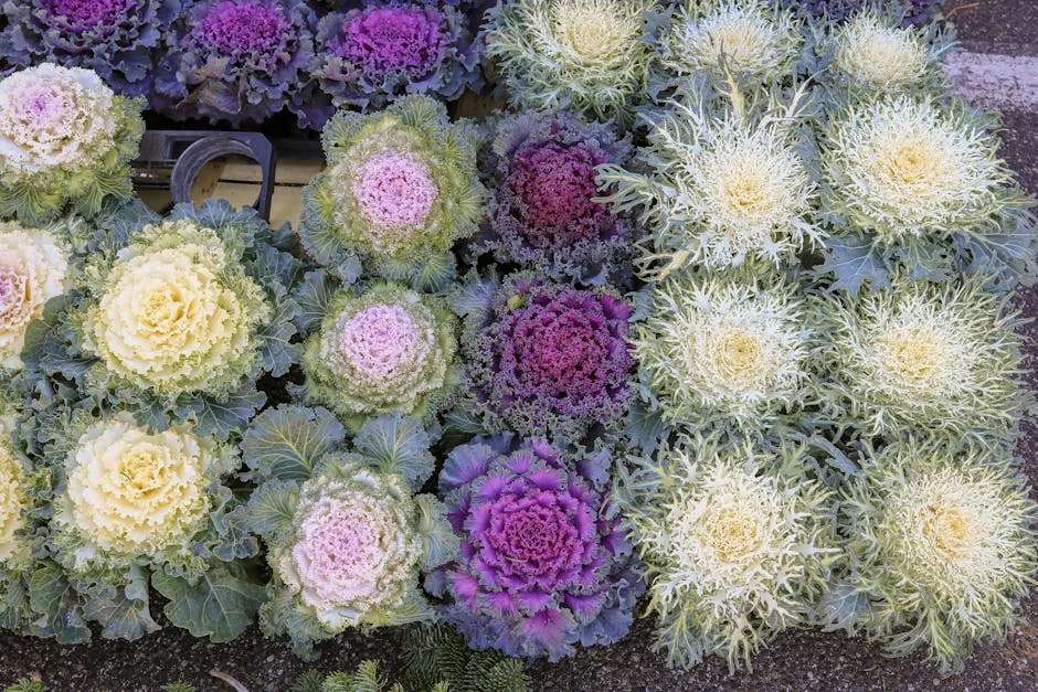 Tirelo Kale Launches Jewellery Line on 26th Birthday — Here’s What It Means for South Africa — Economy Business