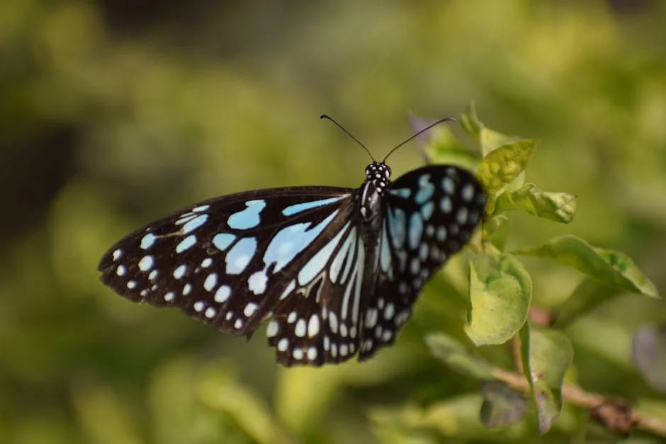 Tirumala Temple Trust Demands Legal Action Over Controversial Birthday Celebrations: What’s at Stake — Economy Business