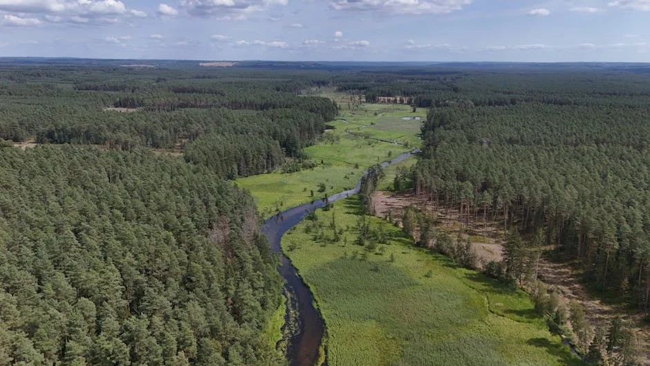 Ukraine Resumes Russian Oil Pipeline to Europe Amid Supply Shifts — Economy Business