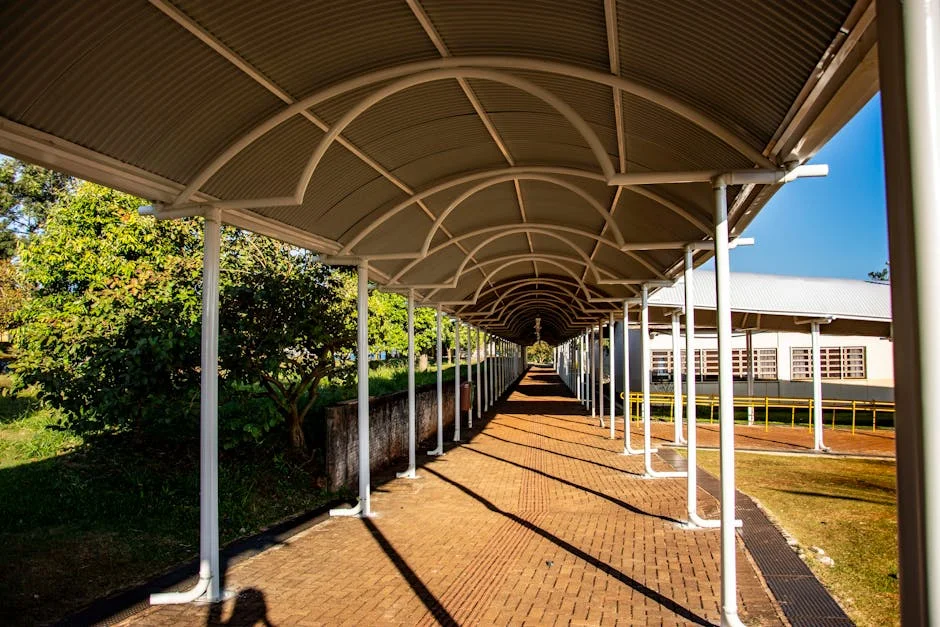 Unisa's Mogaila Mogashoa jailed for defamation: what it means for South Africa's education — Economy Business