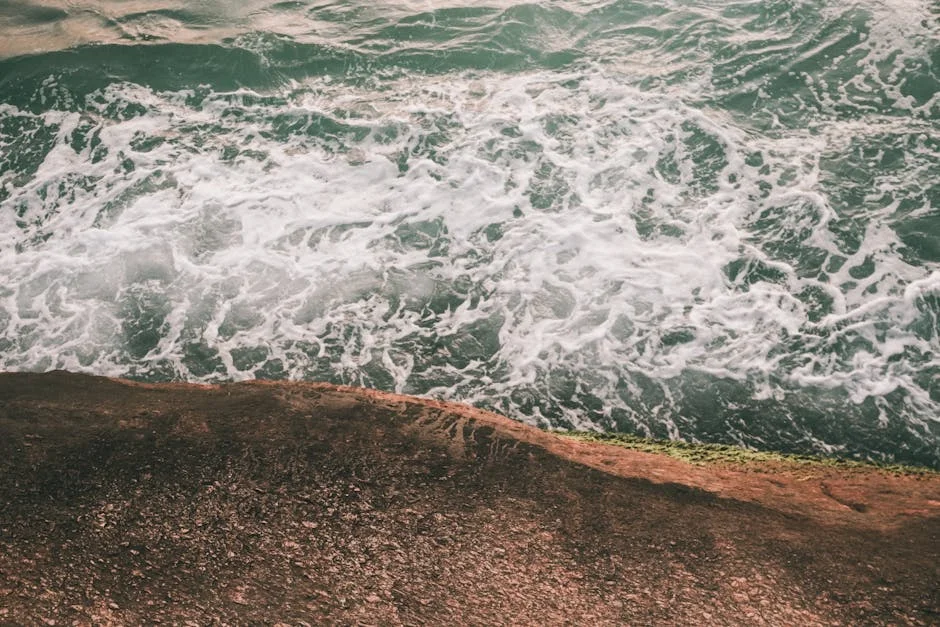 University Warns of Toxic Sediments in Klip River Amid Health Crisis — Health Medicine