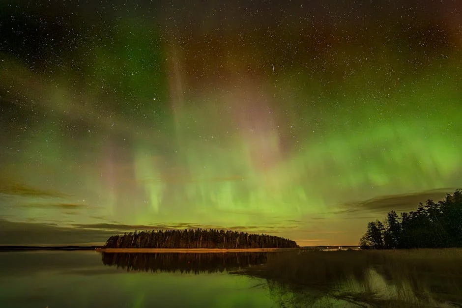 US Aurora Forecast Sparks Uncertainty in South African Markets — Economy Business