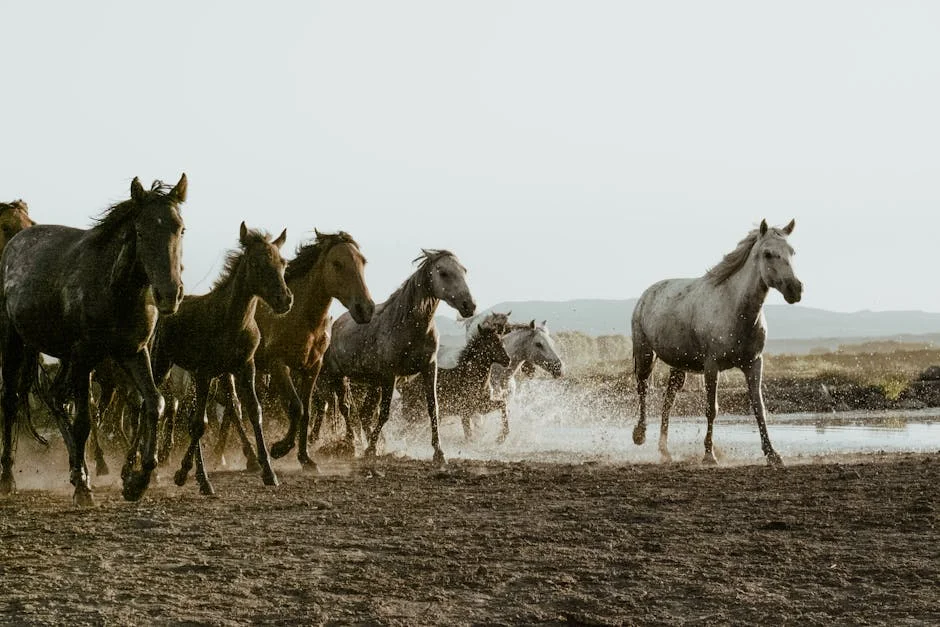 VE Halted Horse Racing After Cyberattack — Financial Fallout Looms — Economy Business