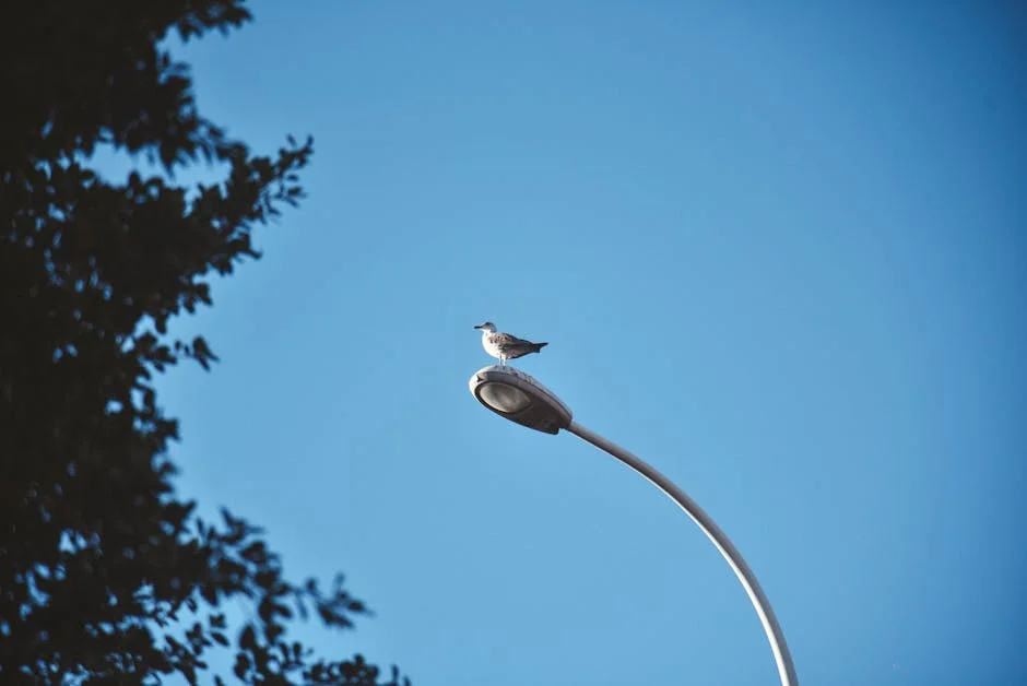 Vhils Reveals Powerful Portrait of Marcelo: An Artistic Statement on Governance — Economy Business