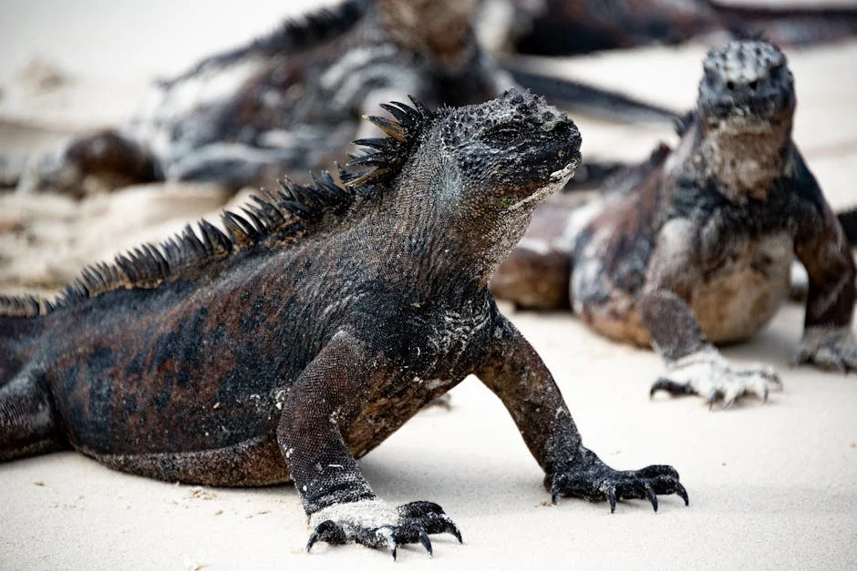Villagers on 'African Galapagos' Set to Earn Ecosystem Protection Payouts — Economy Business