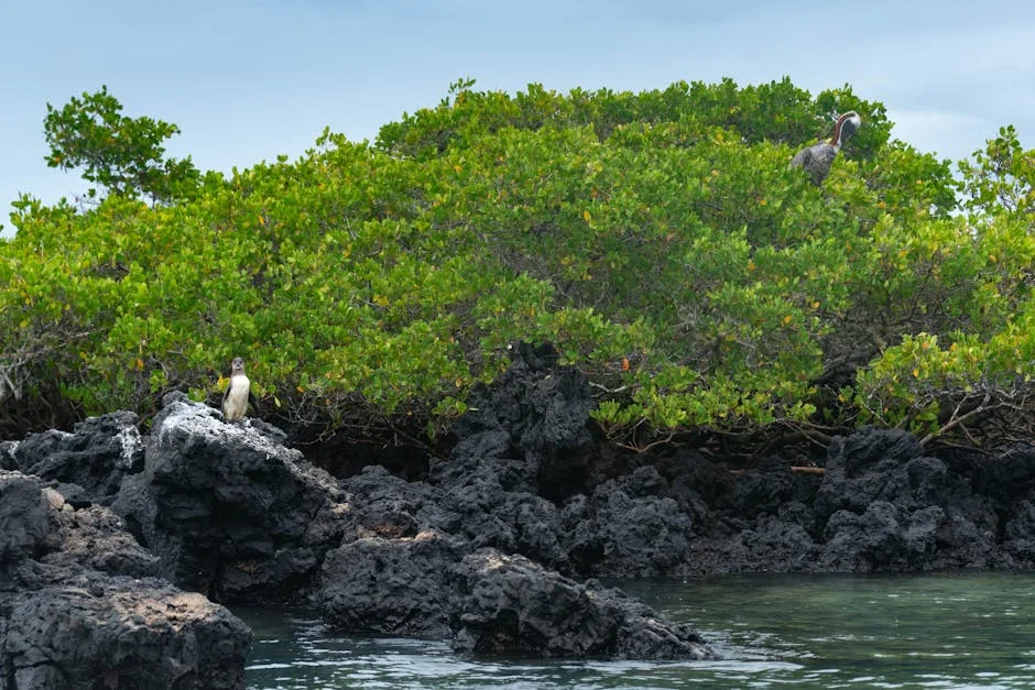 Villagers on 'African Galapagos' Set to Receive Payments for Ecosystem Protection - A Step Forward for African Development — Economy Business