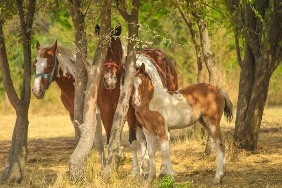 Washington Exposes Russia's Intelligence Sharing with Iran — What It Means for Africa — Economy Business