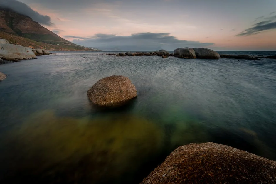 Western Cape Police Call Retired Detectives to Combat Surge in Gang Violence: Here's What It Means — Economy Business