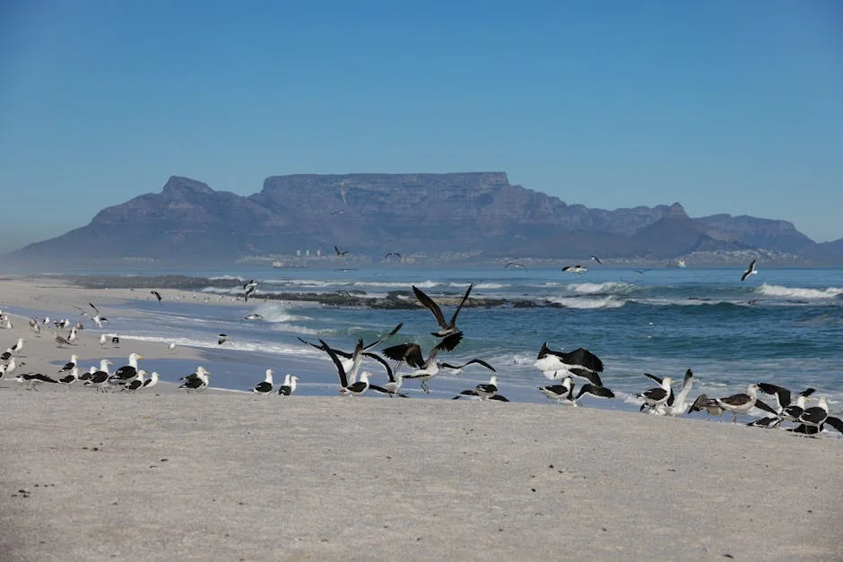 Western Cape Slams Empowerment Drafts — Markets Fear Job Losses — Politics Governance