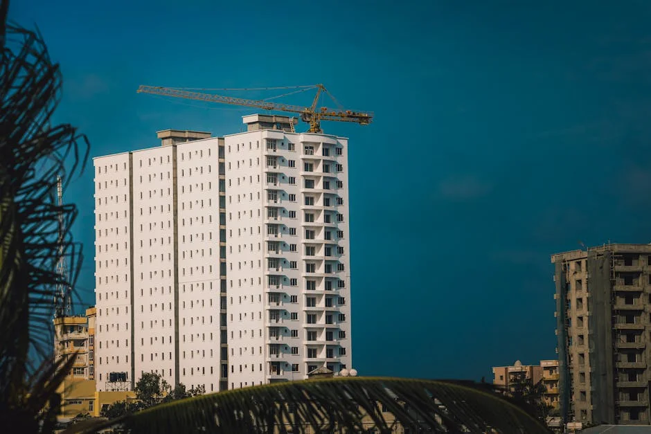 World Bank Reveals Somalia's Path to Growth: Building Climate Resilience Is Key — Economy Business