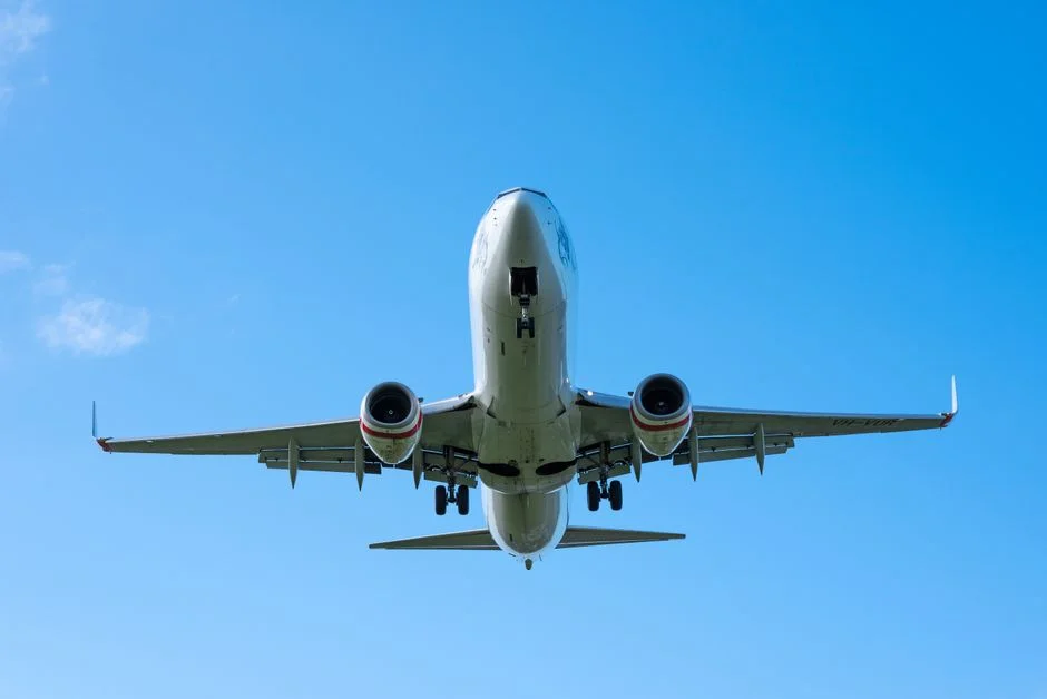 Zimbabwe Launches Mass Repatriation — Thousands Already Returning from South Africa — Politics Governance