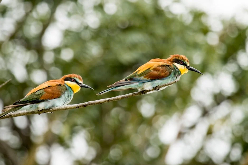 Zimbabwe Reclaims Stone Birds — Boosts Cultural Tourism Prospects — Economy Business